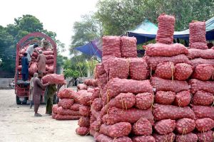 Labourers are busy unloading potatoes sacks from a delivery truck at vegetable market