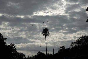 A view of dark clouds hovering over the sky in the Provincial Capital