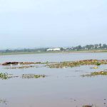 The water level continues to rise steadily in Rawal Dam by the following torrential downpour in the twin cities