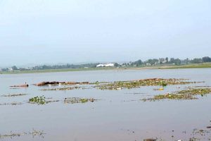 The water level continues to rise steadily in Rawal Dam by the following torrential downpour in the twin cities