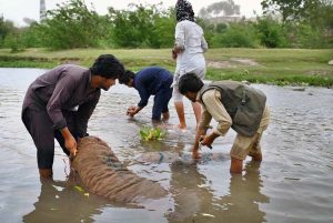 Laborers are busy in washing vegetables before selling in the Vegetable Market