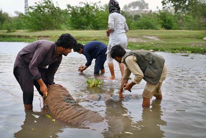 Laborers are busy in washing vegetables before selling in the Vegetable Market