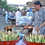 A street vendor roasts corn in sand and salt to attract customers near Nicholson Road