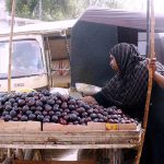 A woman vendor sells fruit at a roadside to earn a livelihood.