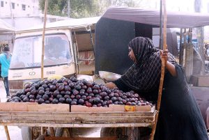 A woman vendor sells fruit at a roadside to earn a livelihood.