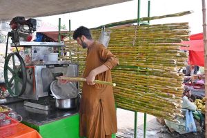 Labourers busy in loading sugarcane on vehicle at Vegetable and Fruit Market