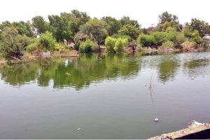 A view of the Lalu Lashari graveyard flooded with rainwater after a torrential downpour during the monsoon spell