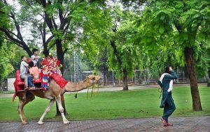Visitors enjoy camel ride at Rawal Lake View Park during a pleasant weather after downpour that experienced throughout the day in the federal capital.