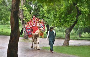 Visitors enjoy camel ride at Rawal Lake View Park during a pleasant weather after downpour that experienced throughout the day in the federal capital.