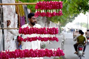 A vendor carefully arranges fresh flower garlands on a hanger, hoping to draw customers along a busy roadside near a city traffic junction