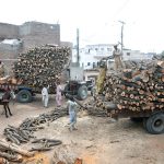 Workers load timber onto a tractor trolley at a wood market to meet the rising demand for commercial supply