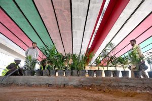 PHA workers planting greenery along the road divider under the bridge near PHA Society to beautify the area