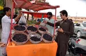 A vendor selling Jaman fruit on his push cart amid its arrival in the market.