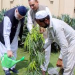 Federal Minister for Poverty Alleviation and Social Protection Syed Imran Ahmed Shah plants a tree during his visit to the BISP Office