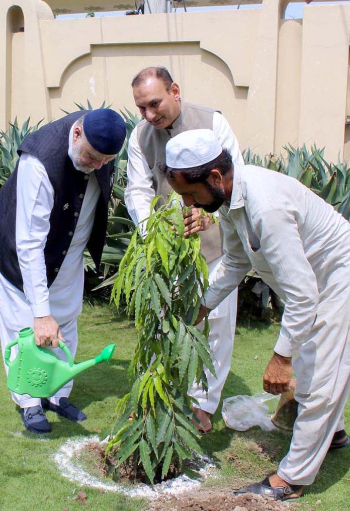 Federal Minister for Poverty Alleviation and Social Protection Syed Imran Ahmed Shah plants a tree during his visit to the BISP Office