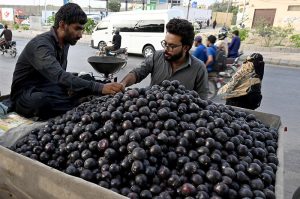 A person purchases seasonal apricots from a roadside vendor’s cart in the city.