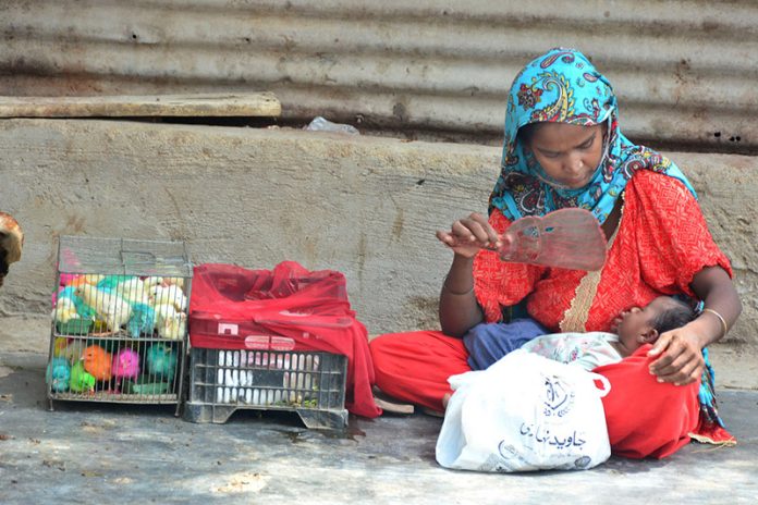 A woman uses a hand fan to cool her child while selling colorful chicks during the scorching heat in Latifabad