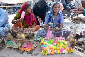 A woman uses a hand fan to cool her child while selling colorful chicks during the scorching heat in Latifabad