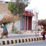 Women carrying large bundles of dried branches on their heads cross the road on their way home to use them as firewood
