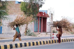 Women carrying large bundles of dried branches on their heads cross the road on their way home to use them as firewood
