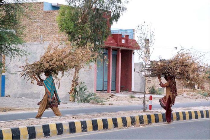 Women carrying large bundles of dried branches on their heads cross the road on their way home to use them as firewood