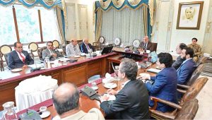 A delegation of renowned businessmen meet with Prime Minister Muhammad Shehbaz Sharif