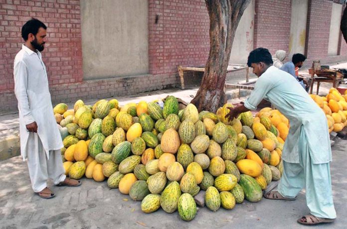 Vendors sell seasonal fruits including Persian, Hami, and musk melons at roadside stalls