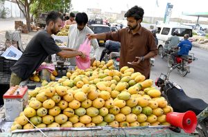 People buy the "king of fruits" Mangoes from a pushcart vendor as the captivating aroma draws passersby in the metropolitan city.