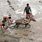 A farmer, along with his children, prepares a field for rice cultivation with the help of a donkey near Bangal Dero