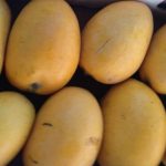 Chaunsa mango a global ambassador of Pakistan’s agricultural excellence: Saif Ur Rehman
