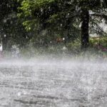 Rain in Sargodha