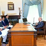 PM Shehbaz discusses political, power sector matters in high-level meetings