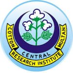 FAC issues recommendations for cotton growers