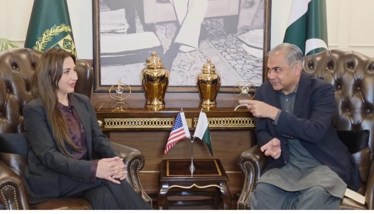 Mohsin Naqvi, U.S. Envoy discuss enhanced cooperation in security & investment sectors