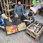 Children curiously look at colorful chicks displayed for sale by a vendor at H-9 Weekly Bazaar