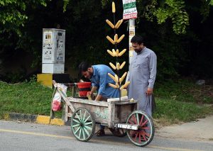 A person buys a corn cob from a roadside vendor in the F-8 area of the Federal Capital