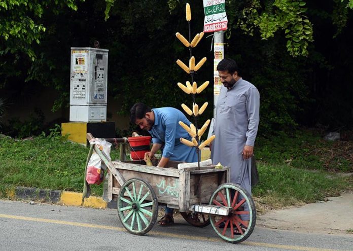 A person buys a corn cob from a roadside vendor in the F-8 area of the Federal Capital