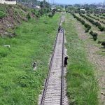 CDA workers busy in cutting grass along railway tracks at I-11 in Federal Capital.