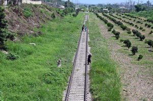CDA workers busy in cutting grass along railway tracks at I-11 in Federal Capital.