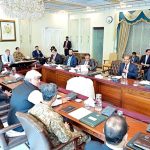 Prime Minister Muhammad Shehbaz Sharif chairs progress review meeting on faceless appraisal of customs.