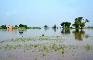 The Provincial Disaster Management Authority (PDMA) has issued a warning as the water level of the Chenab River at Qadirabad Headworks continues to rise, now reaching 996,000 cusecs and surpassing its maximum capacity of 800,000 cusecs.