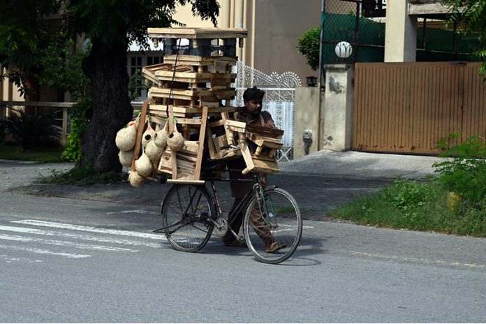 A vendor displays and sells wooden benches and handmade nests on his bicycle to attract customers along a road in the federal capital