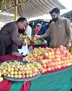 A vendor arranging and displaying seasonal fruits to attract the customers at Aabpara Sunday Bazaar in the Federal Capital.