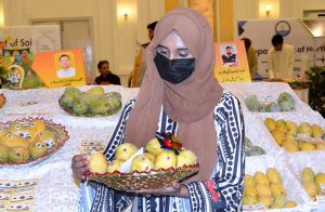 Visitors taking keen interest in different variety of mangoes displayed on the stall during 9th Mango Festival organized by Nawaz Sharif Agriculture University to promote mango products and local culture at a local hotel