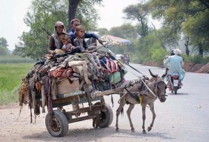 A gypsy family on the way on donkey driven cart towards their destination.