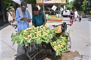A street vendor sells fresh green guavas from his bicycle to a customer, tempting passersby at Shaheen Chowk.