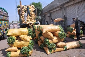 Labourers are busy unloading sacks of vegetables from the delivery truck