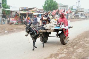 A person sitting on chopped wood loaded on tricycle loader on the way