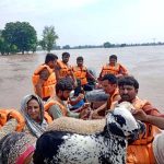 Rescue 1122 personnel evacuate residents and their animals from flood-hit areas to safer locations after the River Chenab overflowed, as rising water levels triggered by heavy rains and the opening of Indian floodgates crossed the danger mark