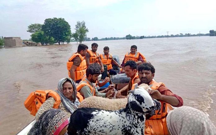 Rescue 1122 personnel evacuate residents and their animals from flood-hit areas to safer locations after the River Chenab overflowed, as rising water levels triggered by heavy rains and the opening of Indian floodgates crossed the danger mark